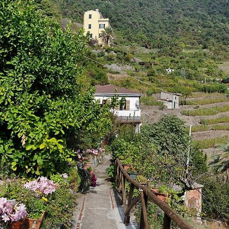 Villa Lardarina Corniglia Buitenkant foto