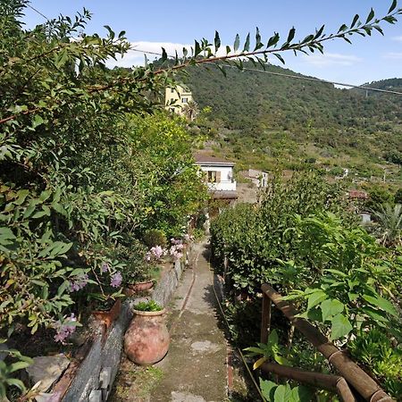 Villa Lardarina Corniglia Buitenkant foto