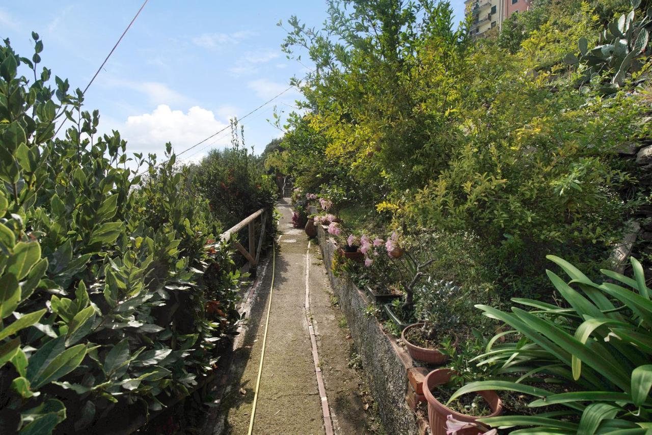 Villa Lardarina Corniglia Buitenkant foto