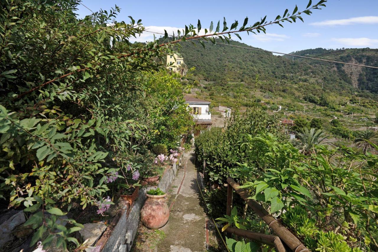 Villa Lardarina Corniglia Buitenkant foto